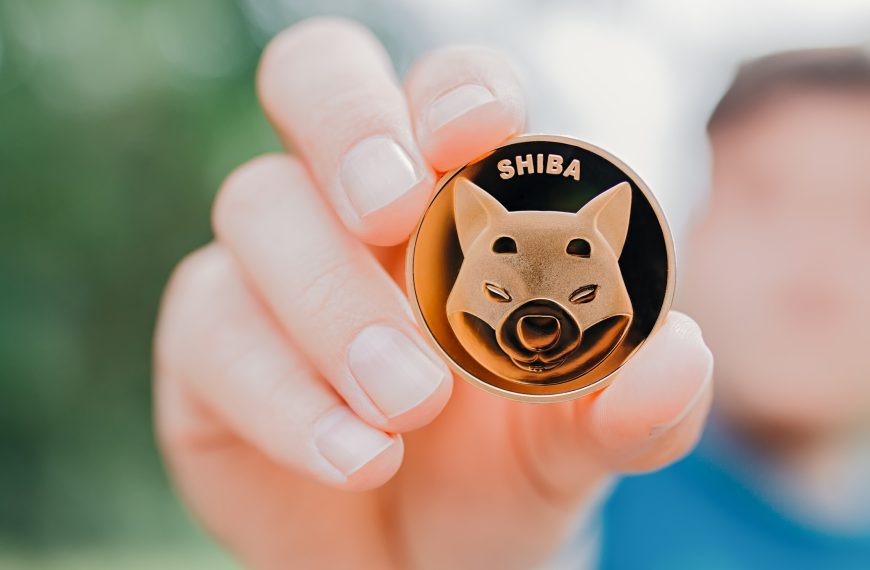 Shiba Inu Walvis verplaatst $45 miljoen aan SHIB, Bullish?