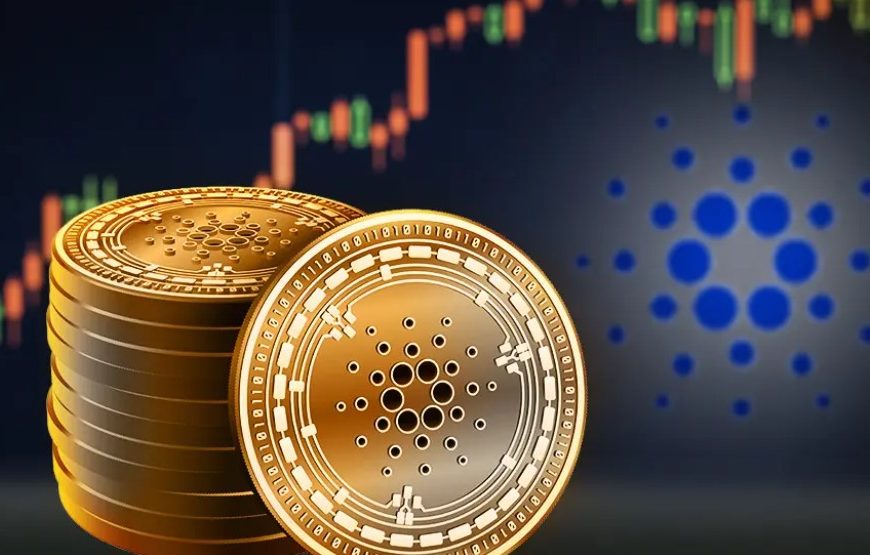 Wordt Cardano de volgende Solana? Institutionele investeerders eisen blootstelling aan ADA op