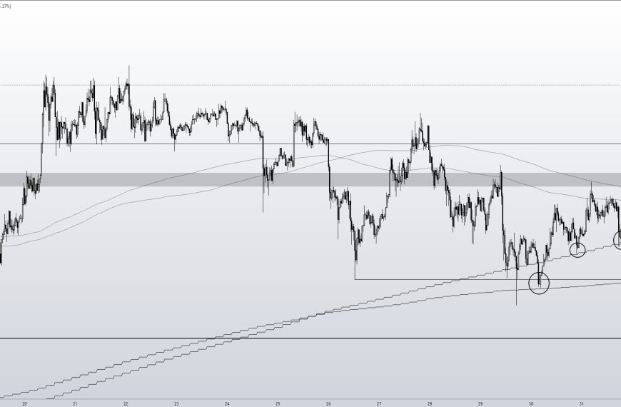 De prijs van Bitcoin stijgt boven de $45.500: Top 3 redenen