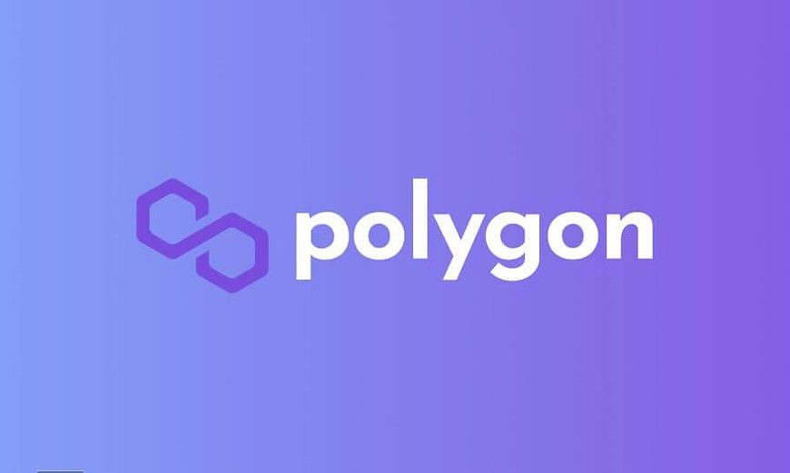 Houders van Polygon (MATIC) en Polkadot (DOT) gaan samen om deel te…