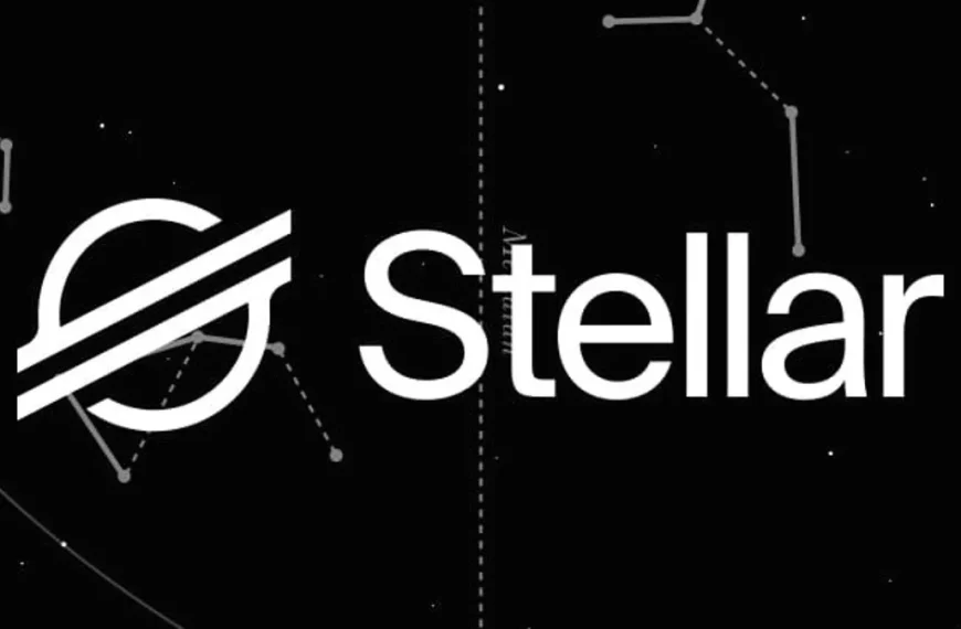 Stellar Development Foundation vertraagt Smart Contract-upgrade vanwege ontdekking van bug