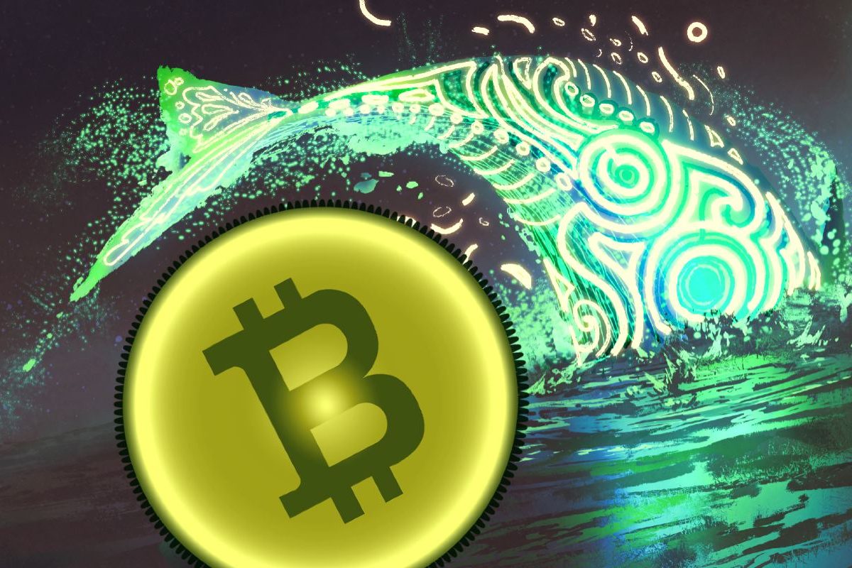 Slapende Crypto Walvis Ontwaakt, Verplaatst $3.050.000 aan Bitcoin (BTC) naar Binance