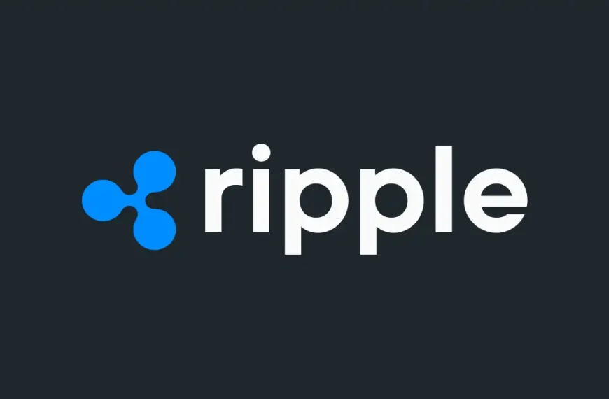 Persoonlijke XRP-accounts van medeoprichter van Ripple gehackt: $112,5 miljoen gestolen, waardoor zorgen…