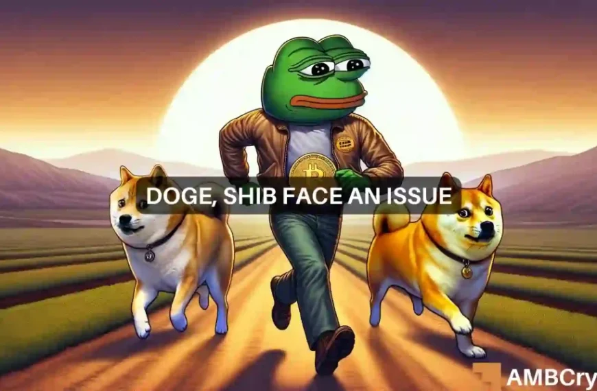 Shiba Inu, Dogecoin achtergelaten: Wordt PEPE de nieuwe memecoin koning?