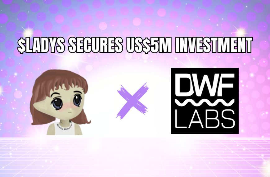 Milady Meme Coin ontvangt een investering van US$5 miljoen van DWF Labs