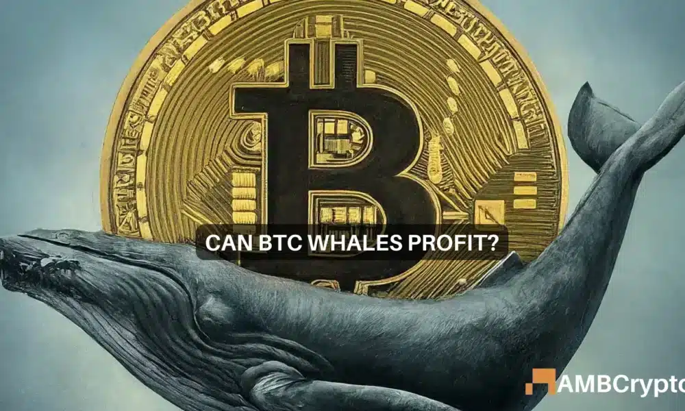 Bitcoin-walvissen kopen de dip om retailbeleggers achter te laten…