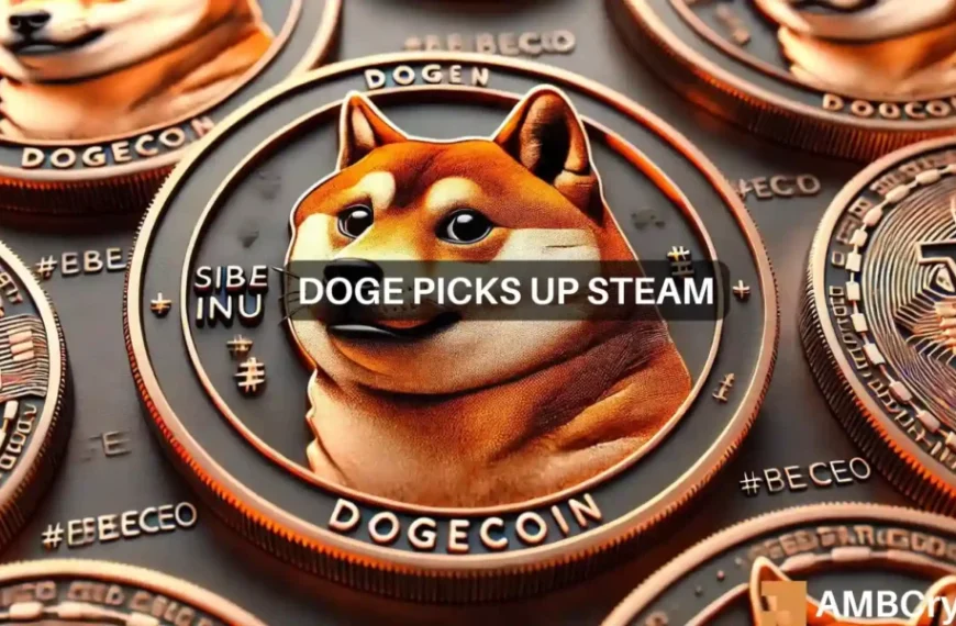 Dogecoin – Hoe de MVRV ervoor heeft gezorgd dat de korte termijn…