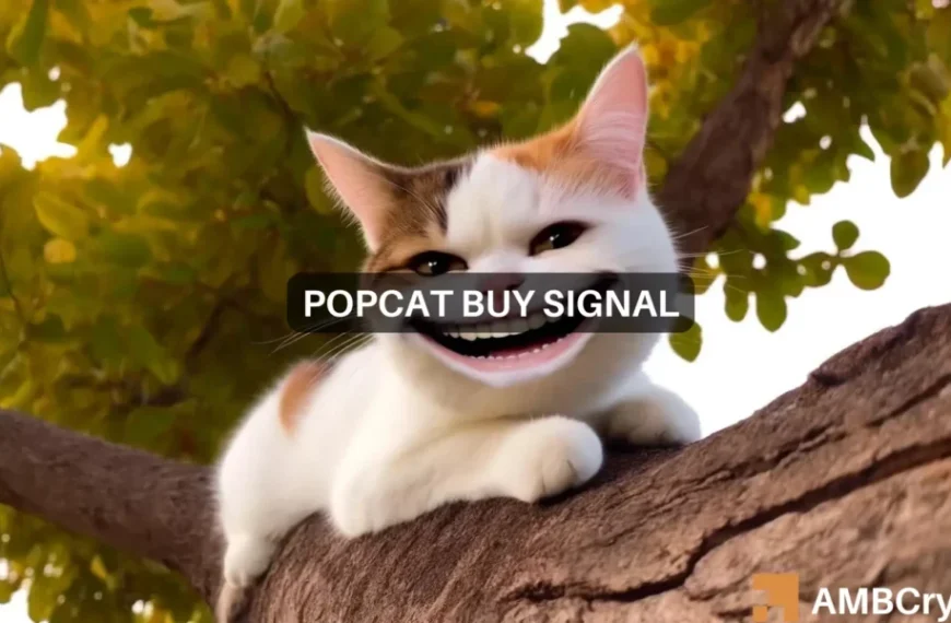 POPCAT prijsvoorspelling – Waar liggen nu de koopkansen?