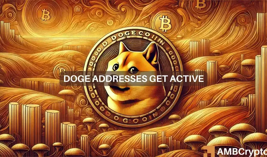 De trend van Dogecoin in oktober: Meer actieve gebruikers, hogere prijzen?