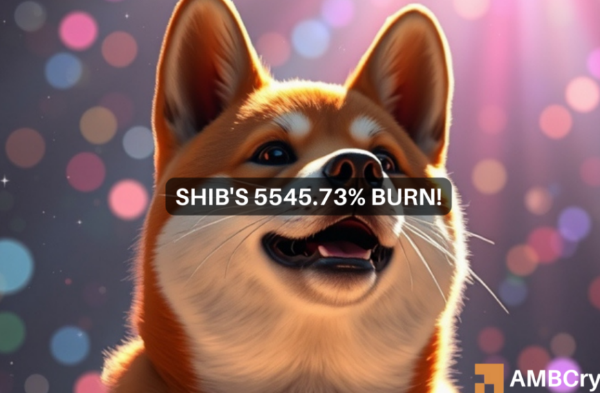 Betekenis van de sterke stijging van de “Shiba Inu burn rate” met…