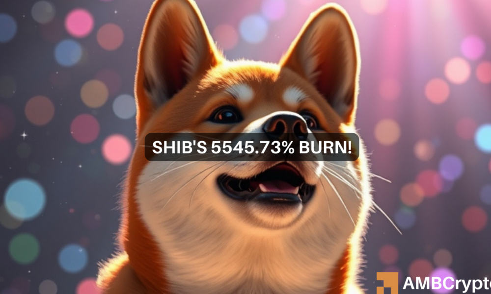 Betekenis van de sterke stijging van de “Shiba Inu burn rate” met…