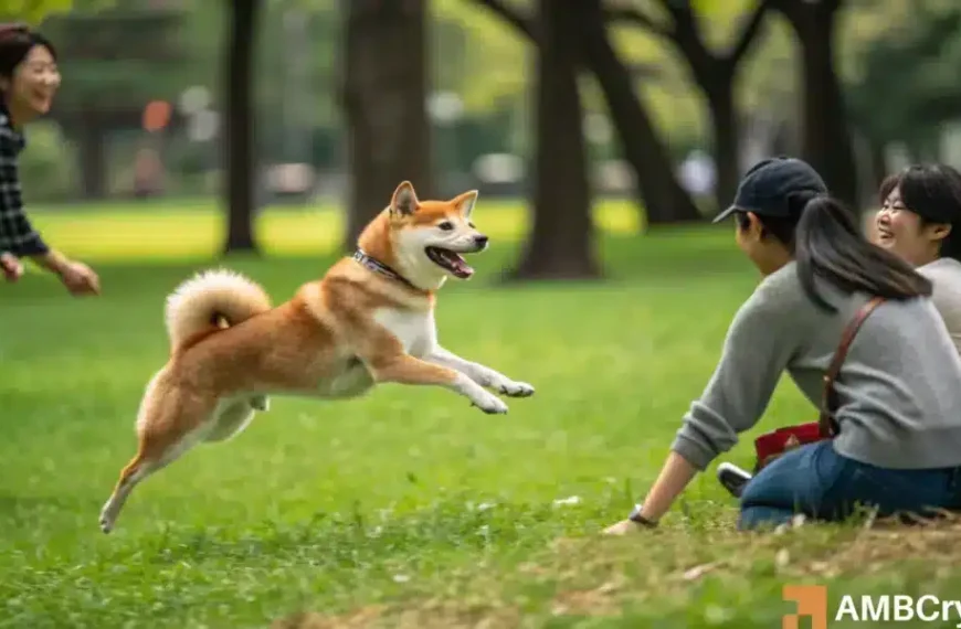 De nieuwste stap van Shiba Inu in de Metaverse – Alles over…