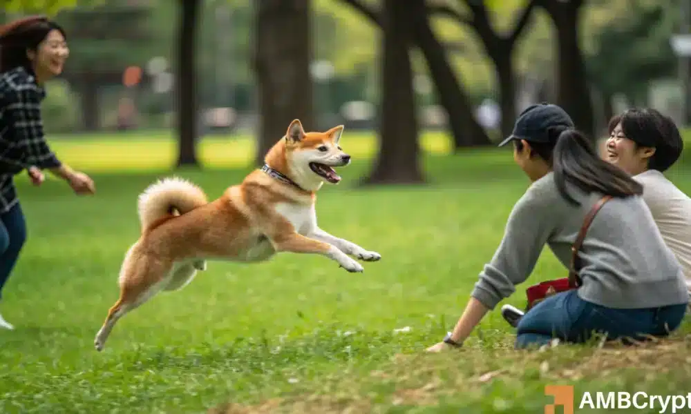 De nieuwste stap van Shiba Inu in de Metaverse – Alles over het ‘baanbrekende’ Virtuele Wereld Project!