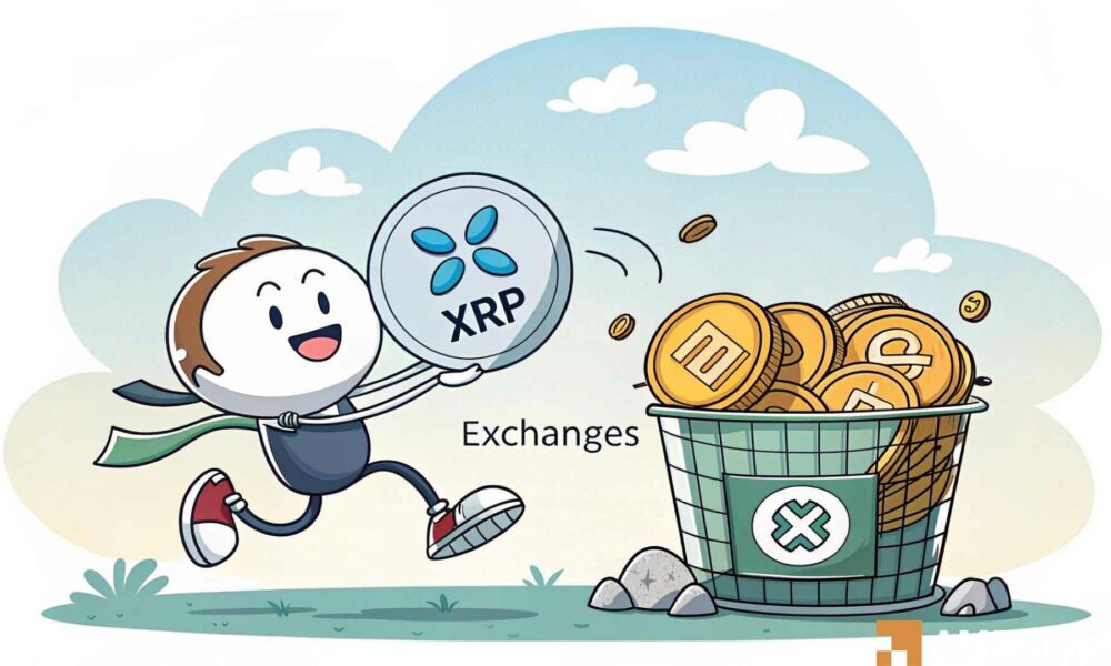 Wat is de volgende stap na de dump van $76 miljoen door XRP walvis?