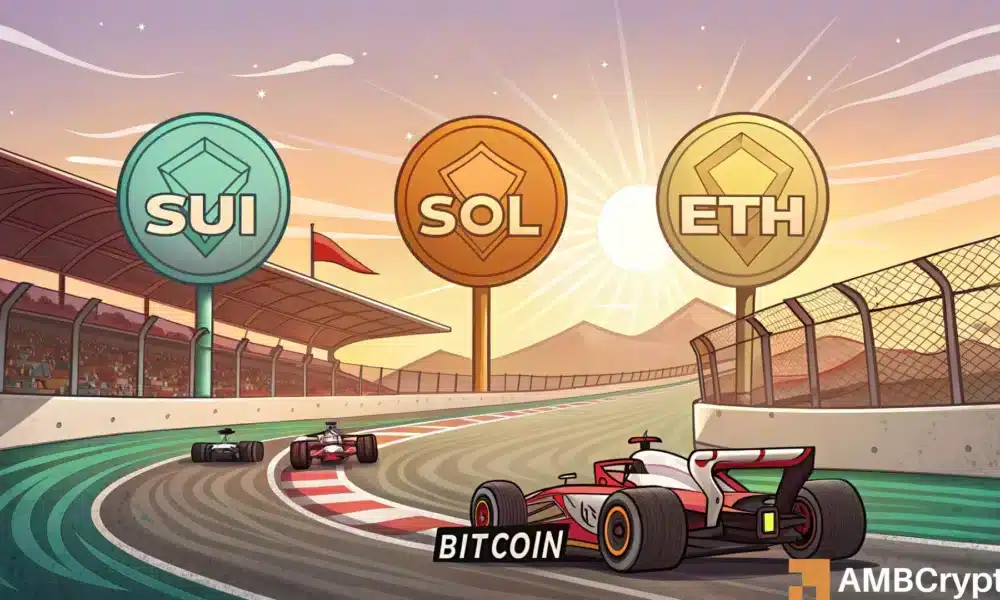 Bitcoin vs. altcoins – Interesse van grote spelers, marktsentiment en meer…