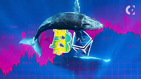 Bitcoin-walvissen gaan op een koopbui: 28.000 BTC verplaatst naar ‘accumulatie’